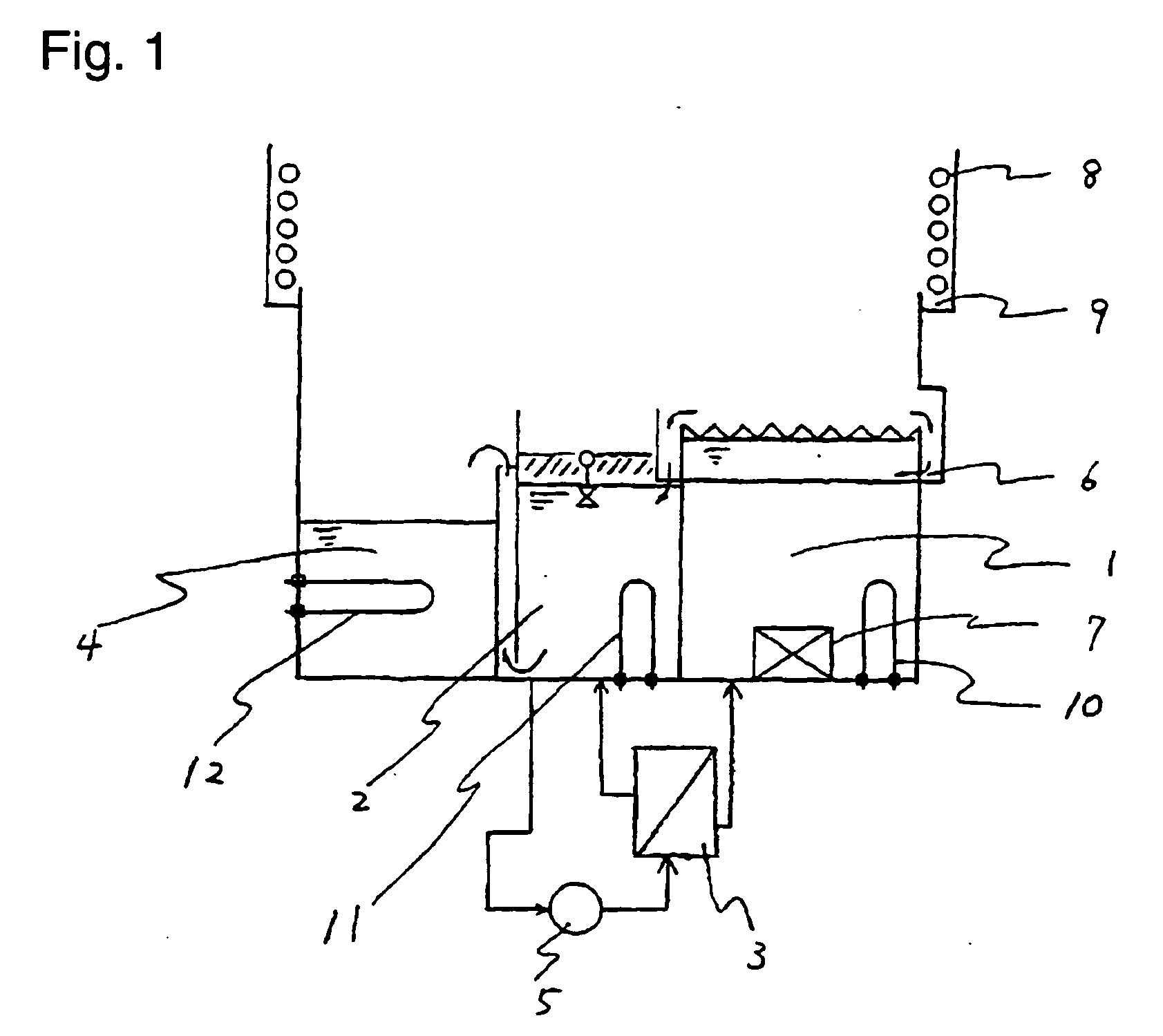 Process for removing water and apparatus for removing water