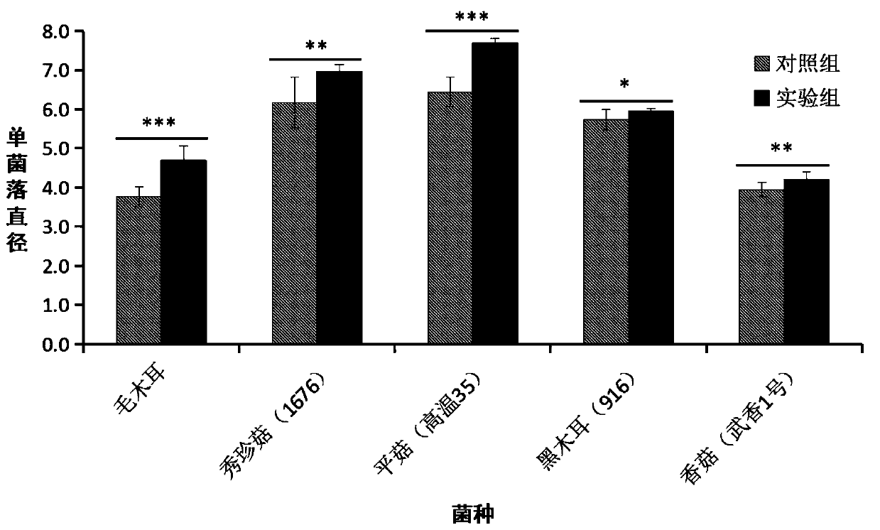 Sealing film used in microorganism culture experiment and manufacturing method thereof