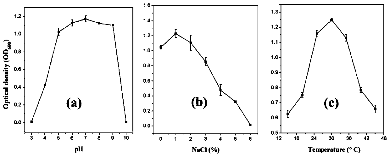 Ralstonia pickettii M1 strain and application thereof in degrading phenanthrene and biphenyl