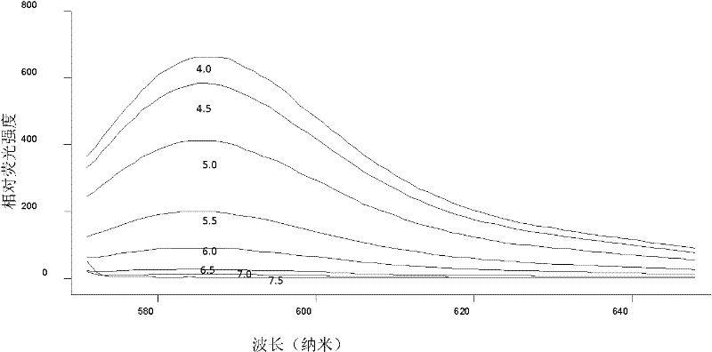 Application of rhodamine B derivatives