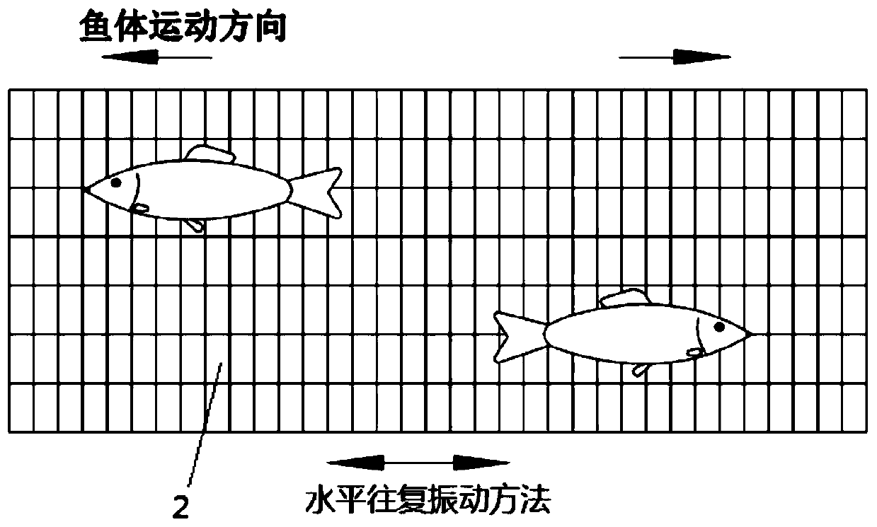 Fish head and tail directional conveying device