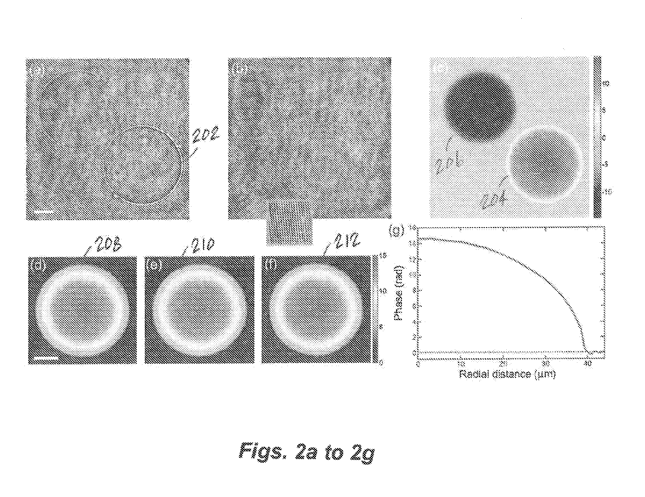 Systems and methods for self-referenced quantitative phase microscopy