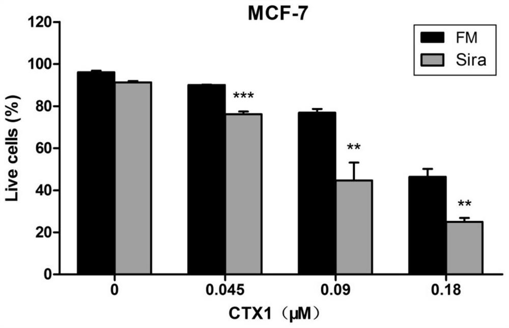 A pharmaceutical composition of siramesine and snake venom cytotoxin-ctx1