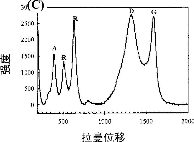 Preparation method of Fe-C-TiO2 nano tube array