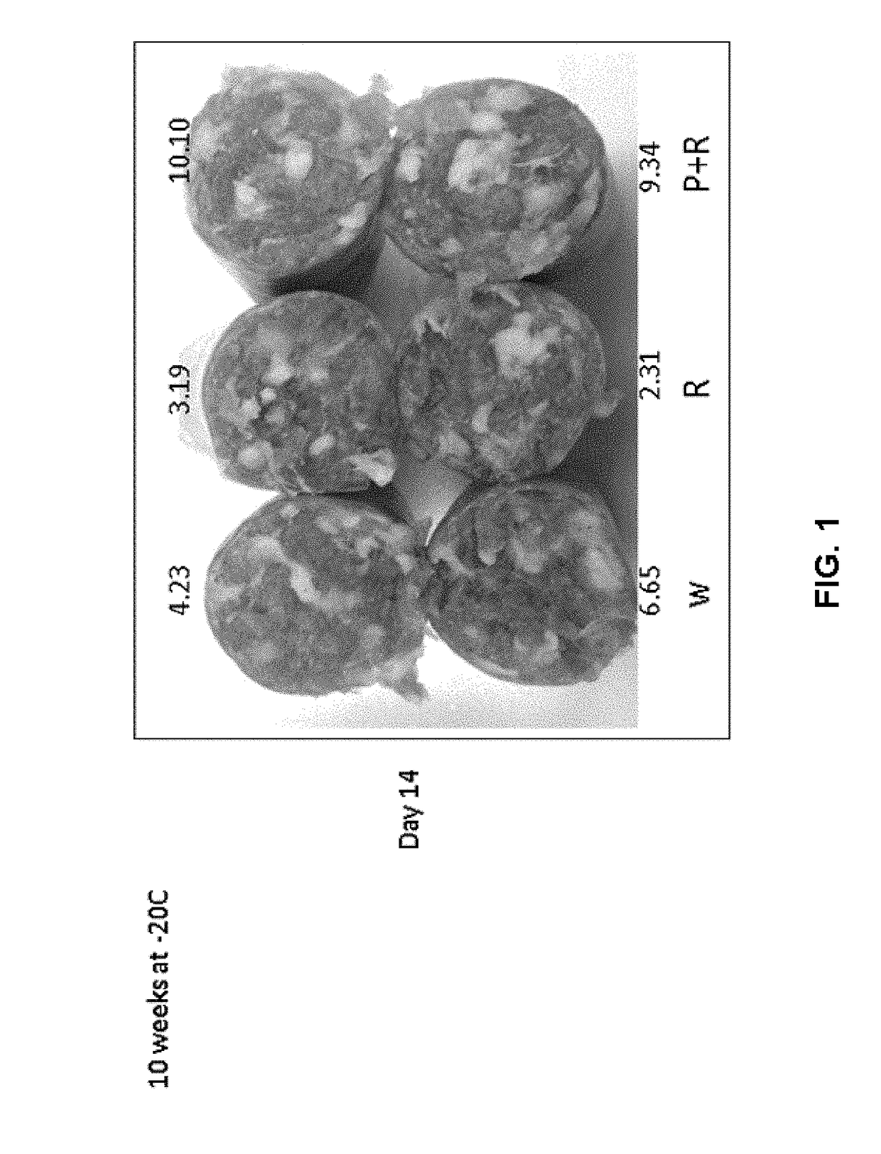Rosemary/phospholipase compositions and methods of preserving muscle tissue