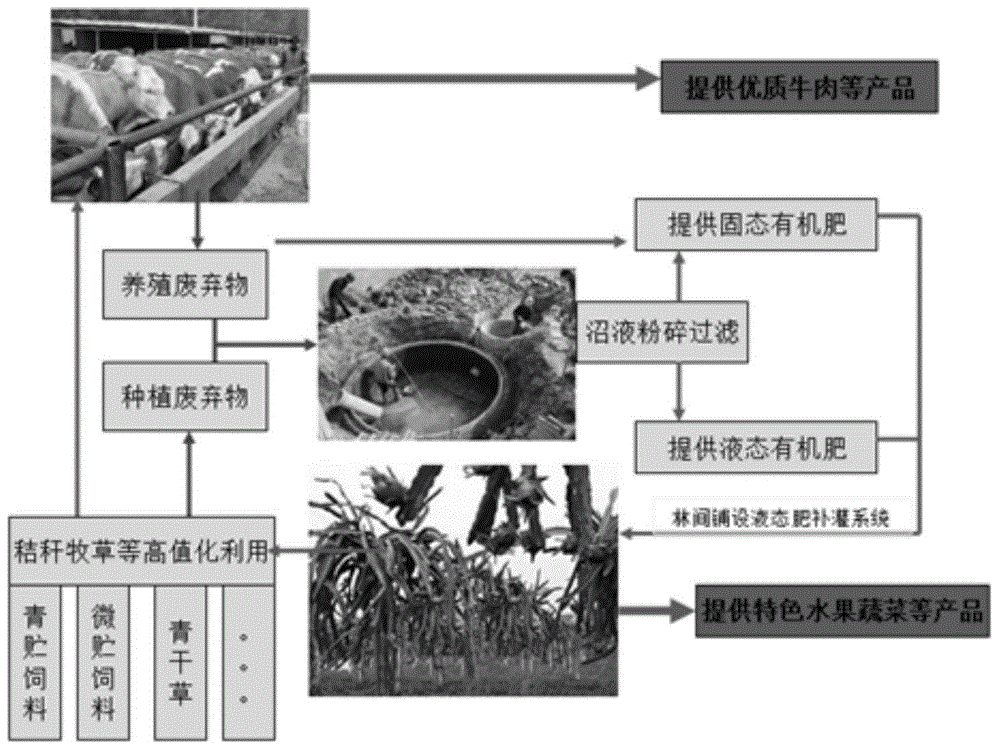 Three-dimensional recycling agriculture mode for mountain planting and raising
