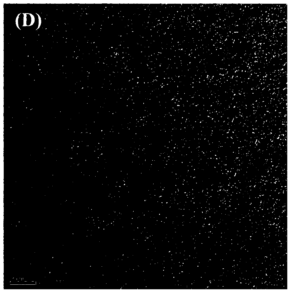 Preparation method of ultra-small-size iron oxide nanoparticles and application thereof
