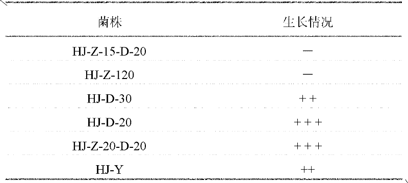 Rhodosporidium paludigenum for degrading gossypol and application thereof