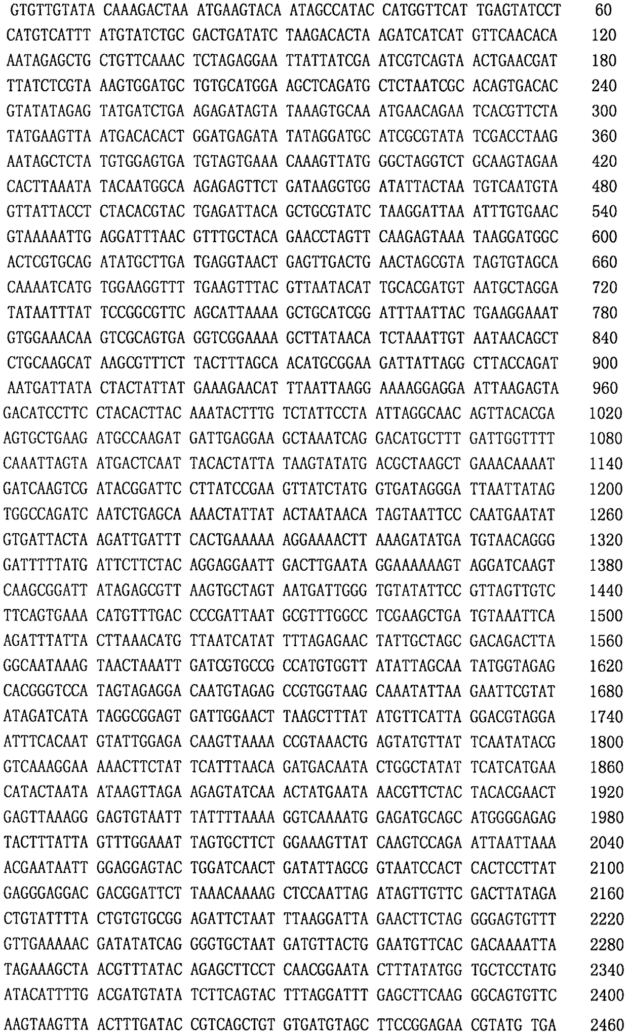 NESS1-A gene having high deodorization ability on lactating cow excrement of bombina orientalis intestinal bacillus expression proteins