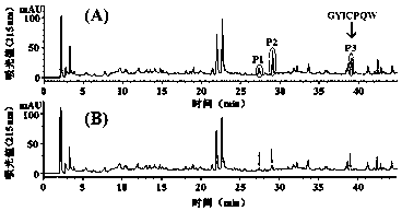 A red ray cartilage polypeptide angiogenesis inhibitory factor