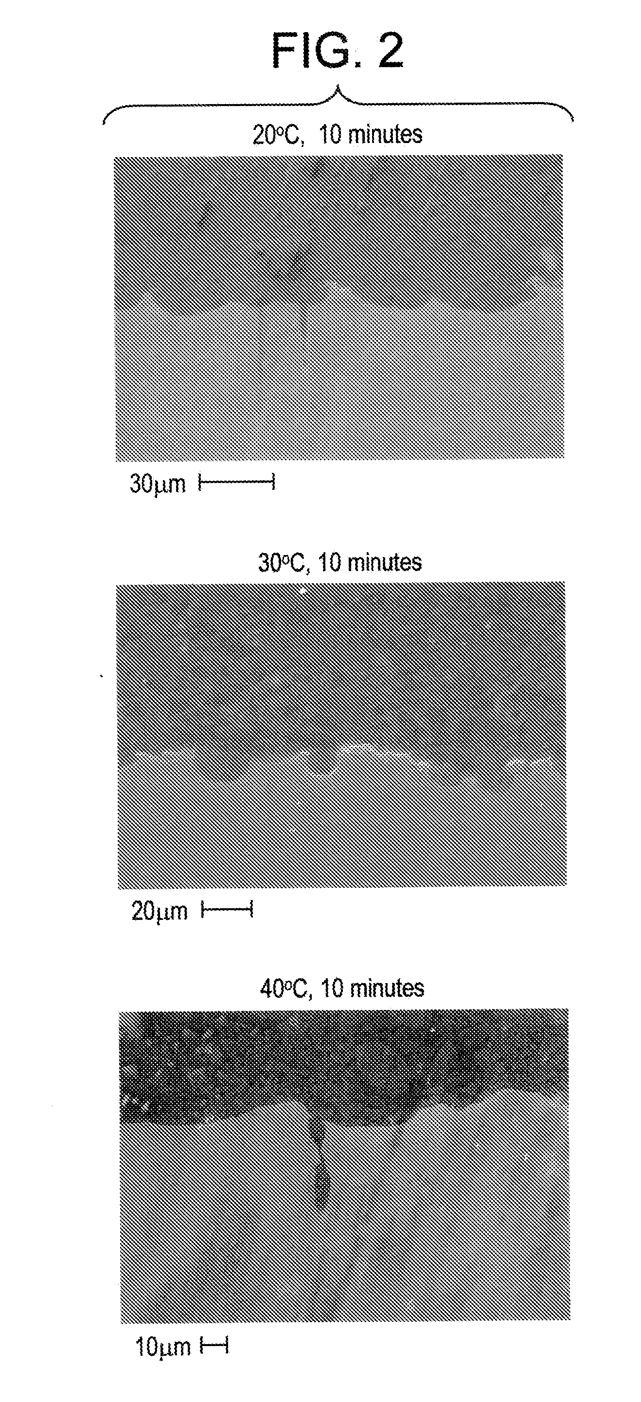 Processes for texturing a surface prior to electroless plating