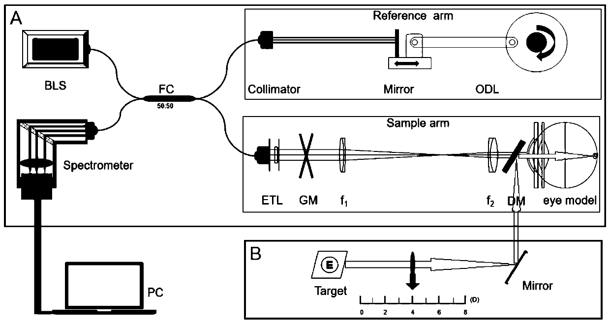 Frequency domain OCT based whole-eye imaging and parameter measuring method and system