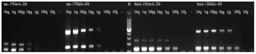 Primer set, kit and detection method for multiplex PCR detection of Staphylococcus aureus and Salmonella in food