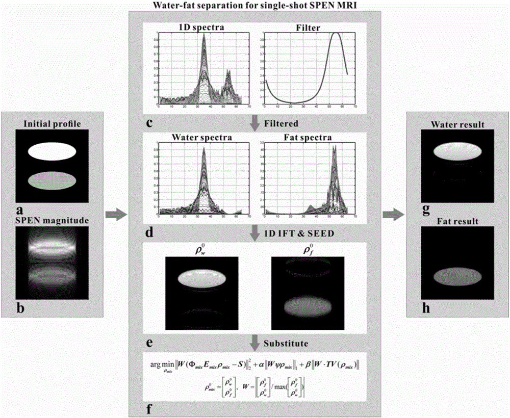 Water-fat separation rebuilding method based on single-scanning space-time coding magnetic resonance imaging