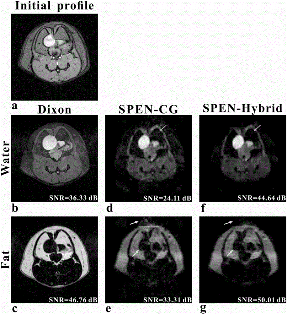 Water-fat separation rebuilding method based on single-scanning space-time coding magnetic resonance imaging