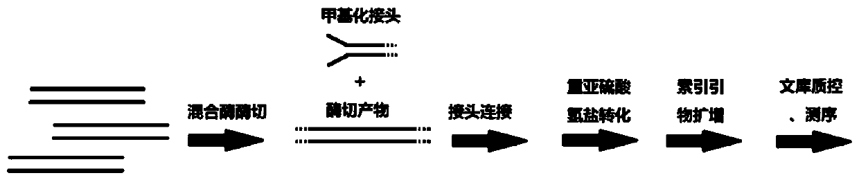 DNA methylation marker screening kit and method