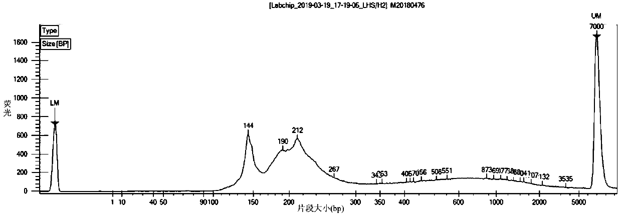 DNA methylation marker screening kit and method