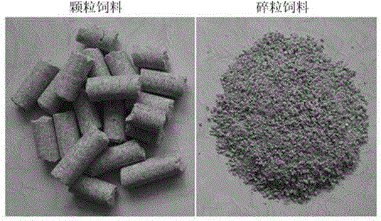 Feed for laboratory rats and mice and preparation method thereof