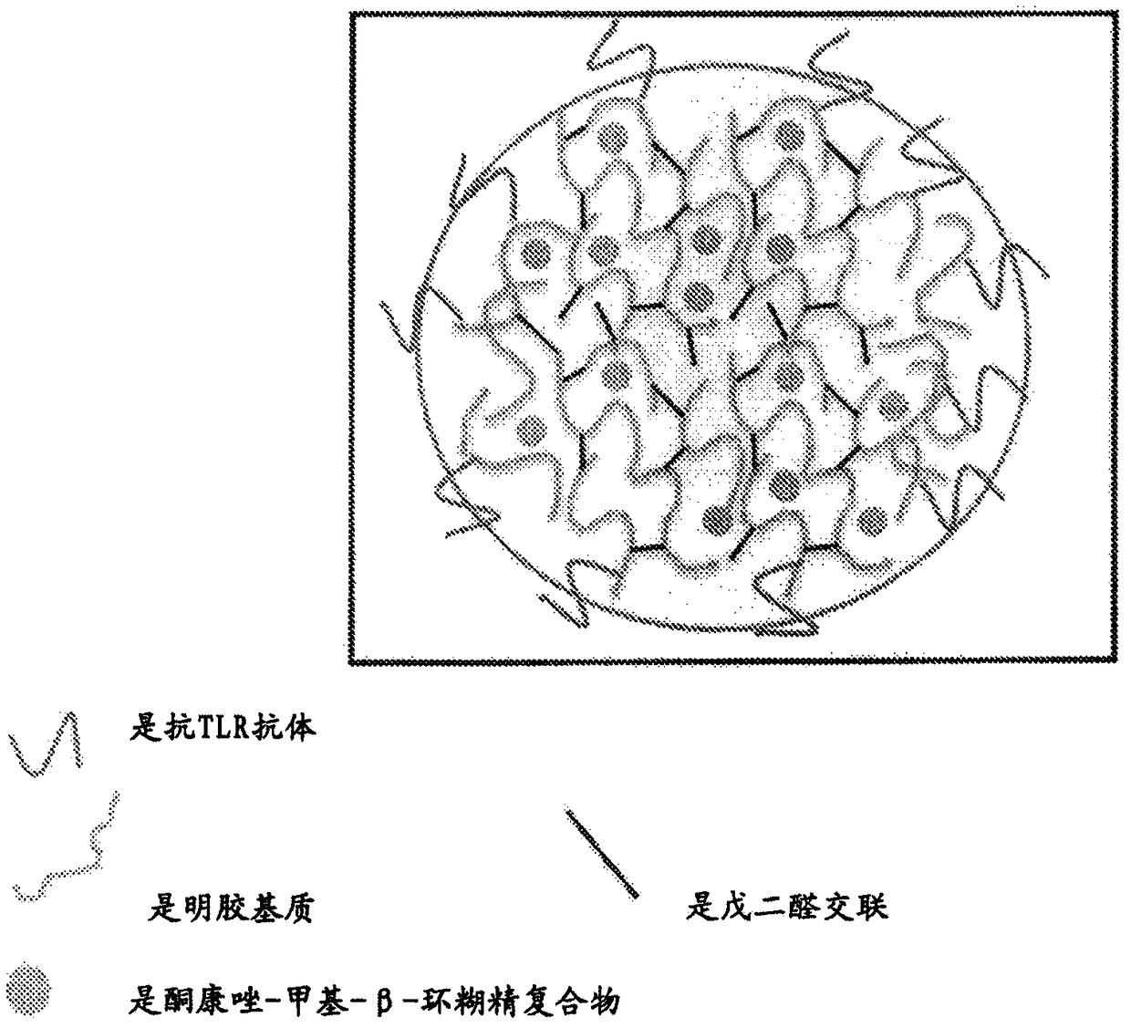 Protein nanostructure based drug delivery system for the delivery of therapeutic agents to the anterior segment of the eye