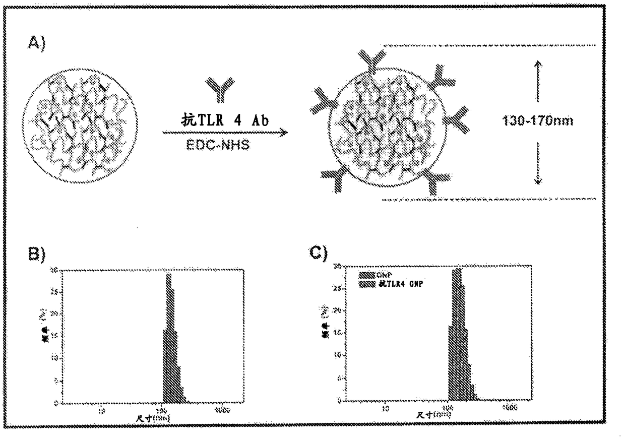 Protein nanostructure based drug delivery system for the delivery of therapeutic agents to the anterior segment of the eye