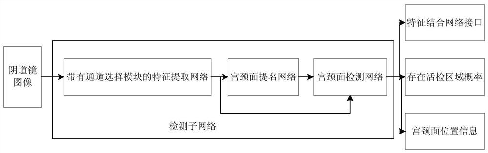 Cervical biopsy region recognition method and device based on channel information multimodal network