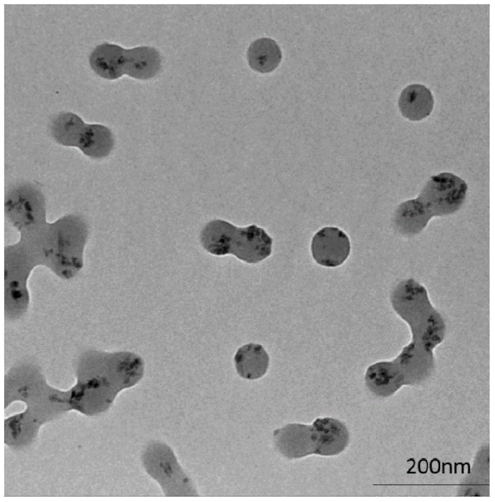 Nanometer titanium dioxide/acrylate polymer composite emulsion and preparation method thereof