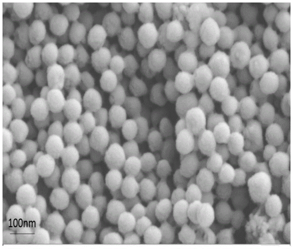 Nanometer titanium dioxide/acrylate polymer composite emulsion and preparation method thereof