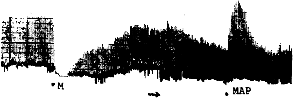 Anti-opioid peptide active fragment