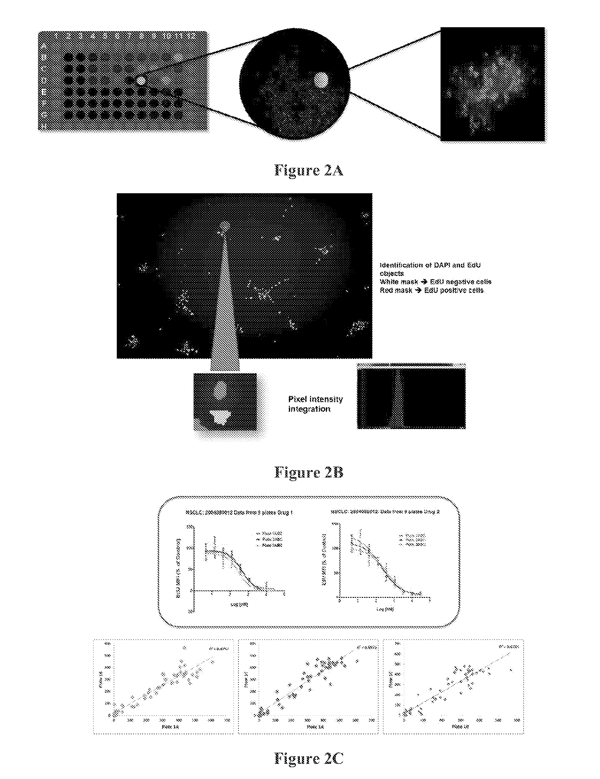 3D cell culture and ex vivo drug testing methods