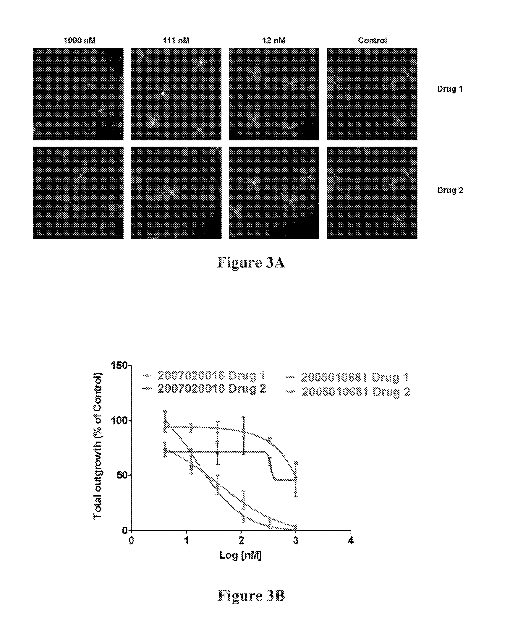 3D cell culture and ex vivo drug testing methods