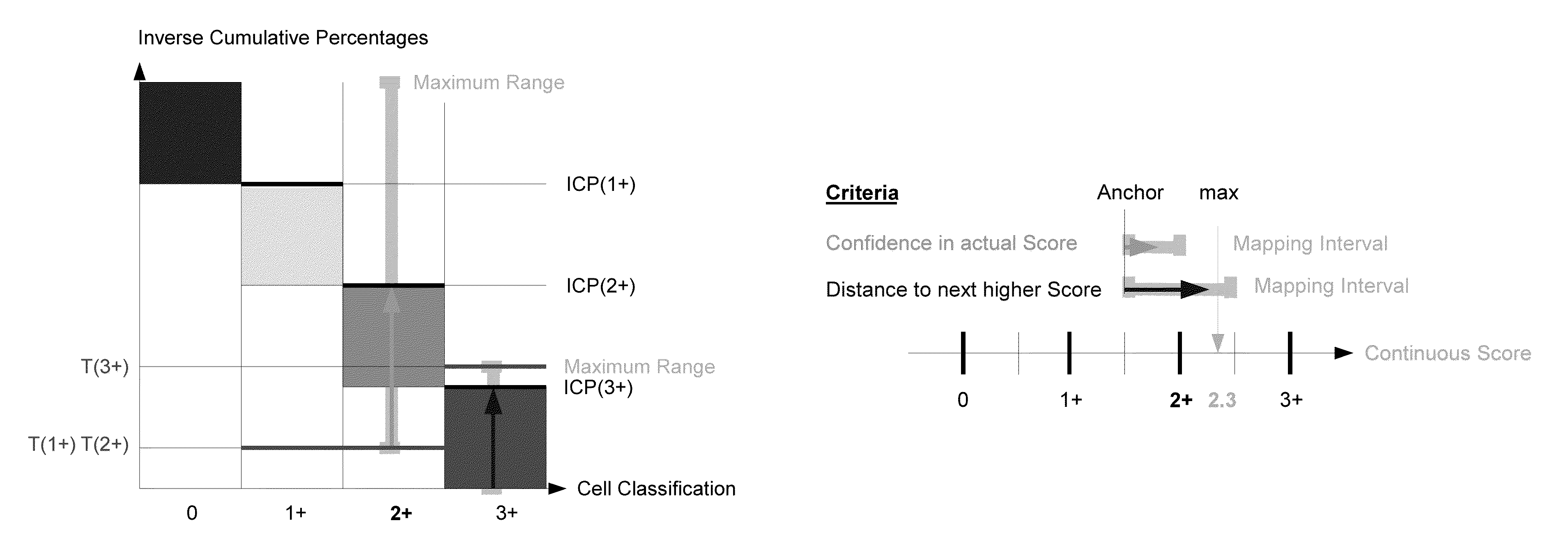 Continuous tissue analysis scoring scheme based on cell classifications