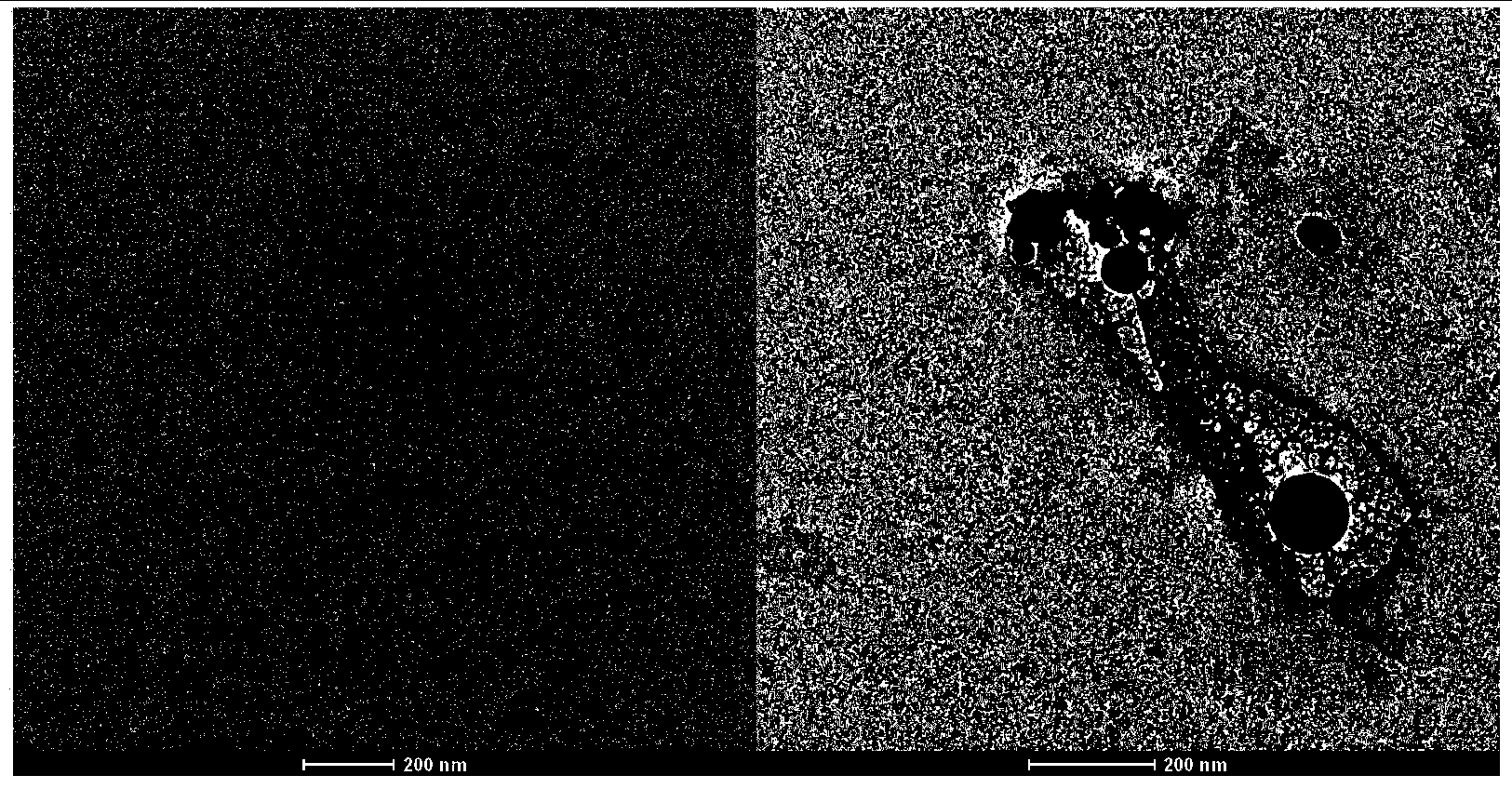 Magnetic fluorescent difunctional nano material based on natural polymer and preparation method thereof