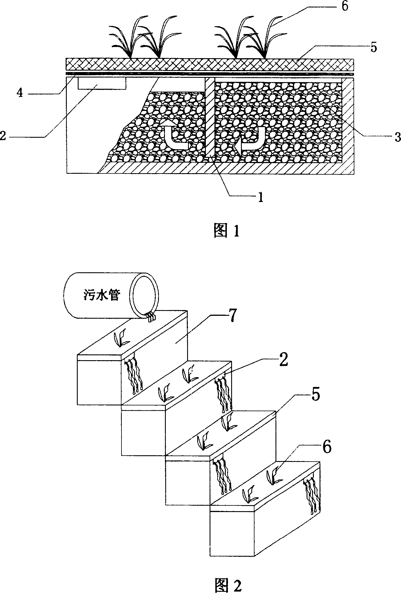 Biologic water purification tank