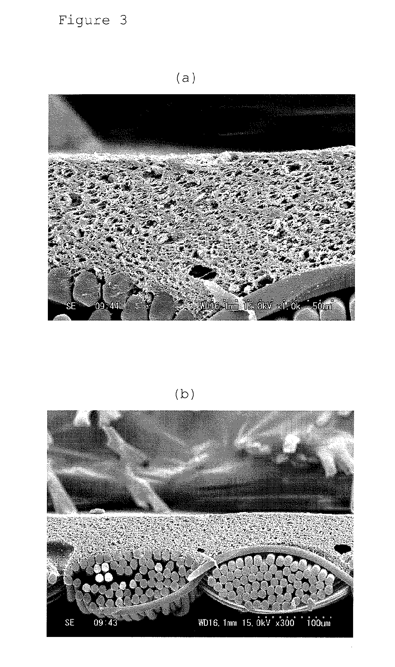 Moisture-permeable waterproof fabric and process for producing same