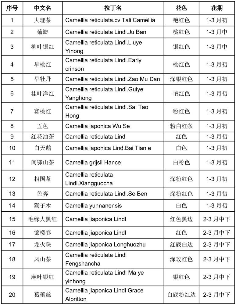 A camellia extract and Chinese herbal medicine cosmetic containing the camellia extract