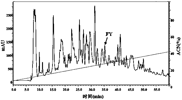 Antioxidant dipeptide from fructus perillae, method for preparing dipeptide and application thereof