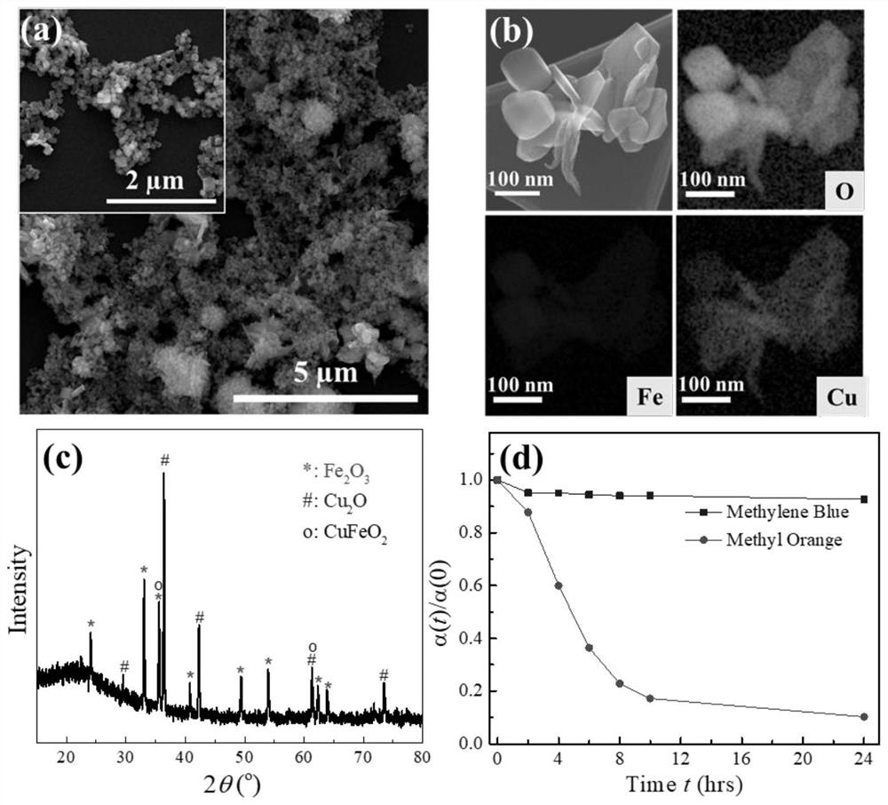Preparation method and antibacterial application of copper iron oxide and mixed nanoparticles