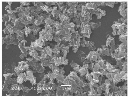 A method for synergistically regulating and strengthening the decomposition of sodium aluminate solution seed crystals