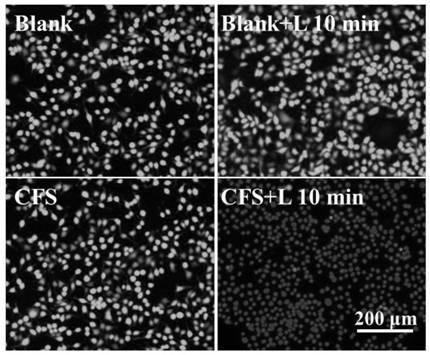 A kind of transition metal chalcogenide material and preparation method thereof