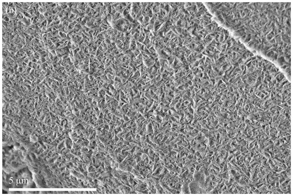 Method for absorbing electromagnetic waves by adopting layered nickel-cobalt double-metal hydroxide/diatomite composite material