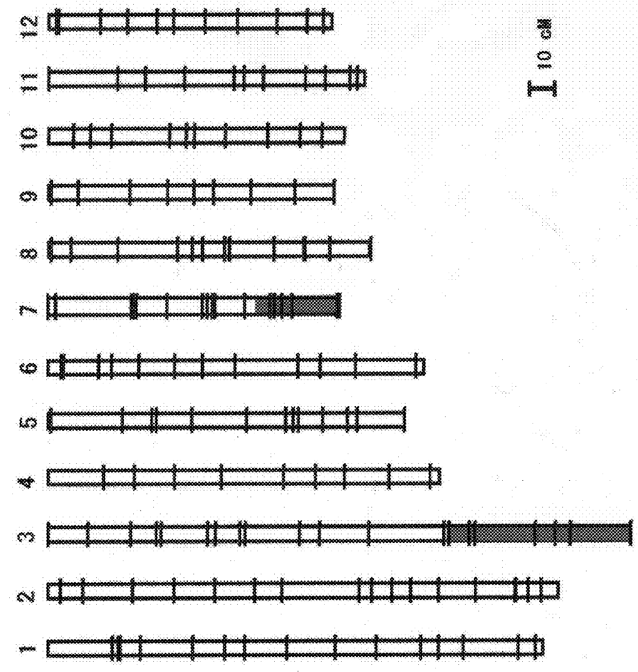 Nucleic acid imparting high-yielding property to plant, method for producing transgenic plant with increased yield, and method for increasing plant yield