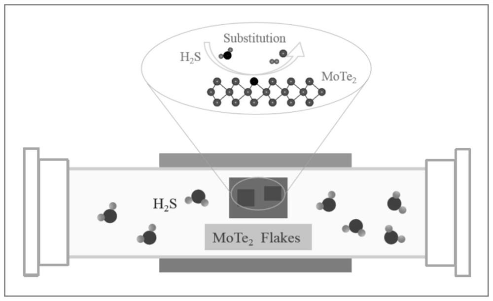 A two-dimensional molybdenum disulfide material with uniform high strain and its preparation method
