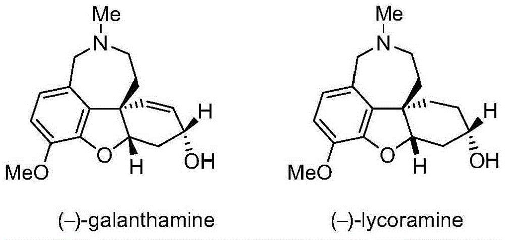 Asymmetric synthesis method of galanthamine and lycoramine