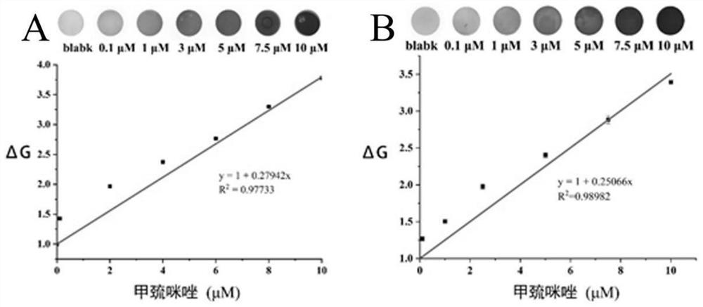 Radix hedysari polysaccharide functionalized silver nanoparticle colorimetric sensor as well as preparation method and application thereof in detection of methimazole
