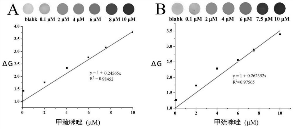 Radix hedysari polysaccharide functionalized silver nanoparticle colorimetric sensor as well as preparation method and application thereof in detection of methimazole