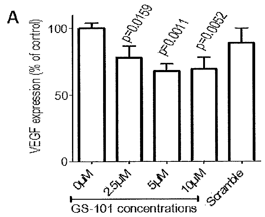 Inhibitor of IRS-1 for treating skin disorders