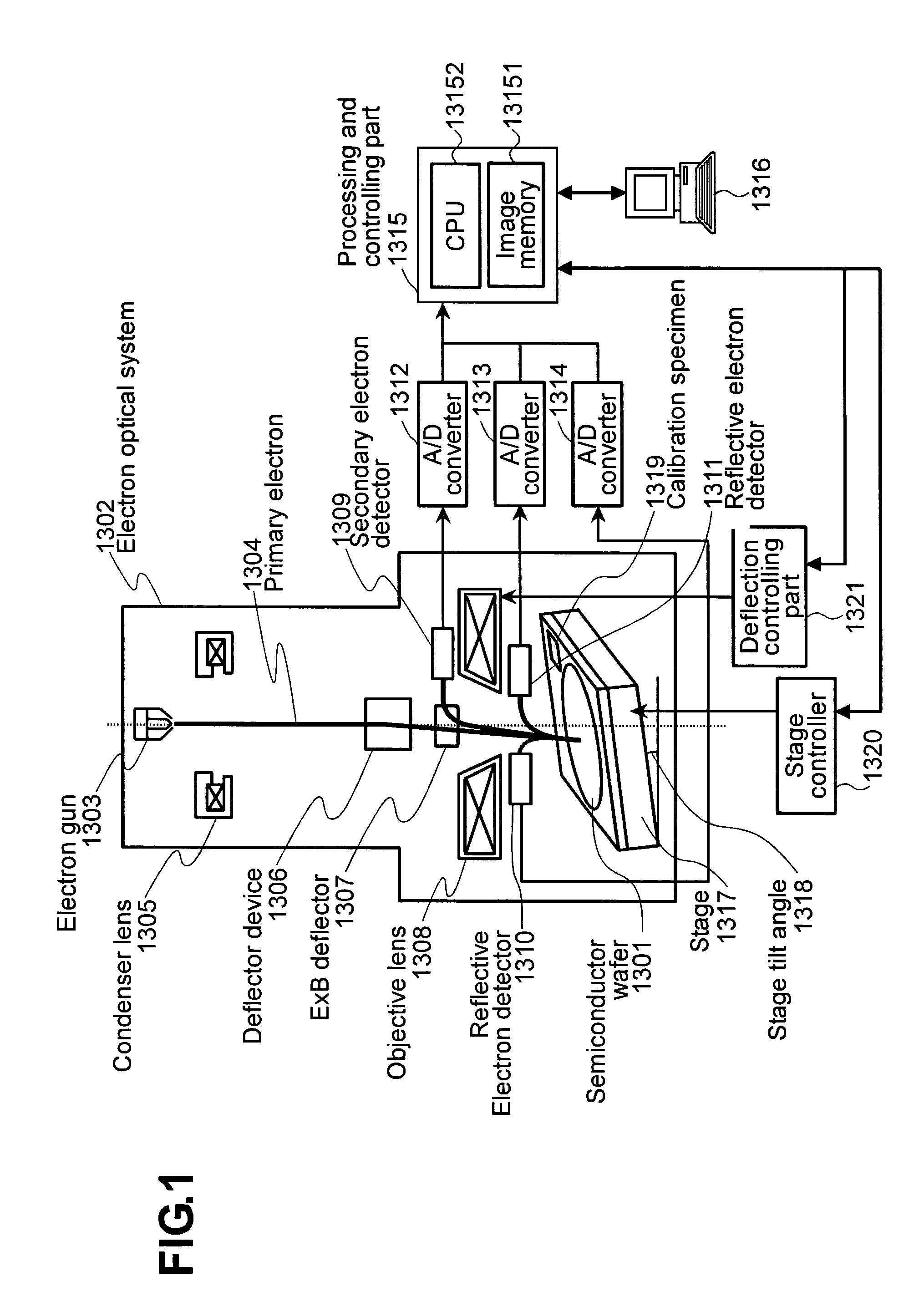Method and apparatus for observing a specimen
