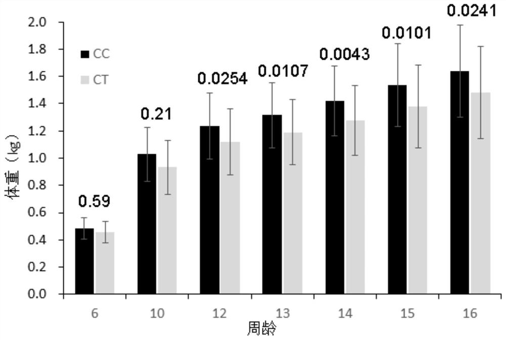 SNP markers related to growth traits of black-bone chicken and their application