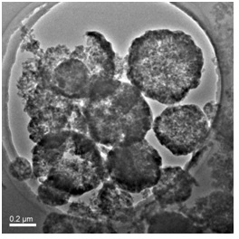 A kind of zinc-cobalt Prussian blue analog adsorbent with hollow structure and its preparation method and application