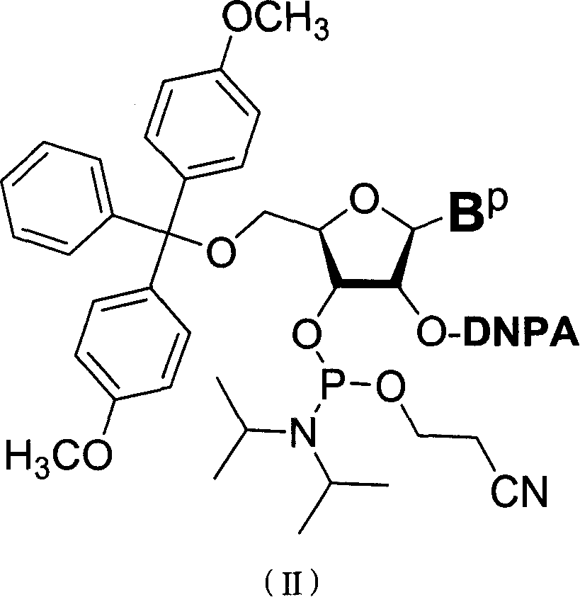 Nucleoside phosphoramidite used in RNA oligo-nucleotide synthesis and its synthesizing method